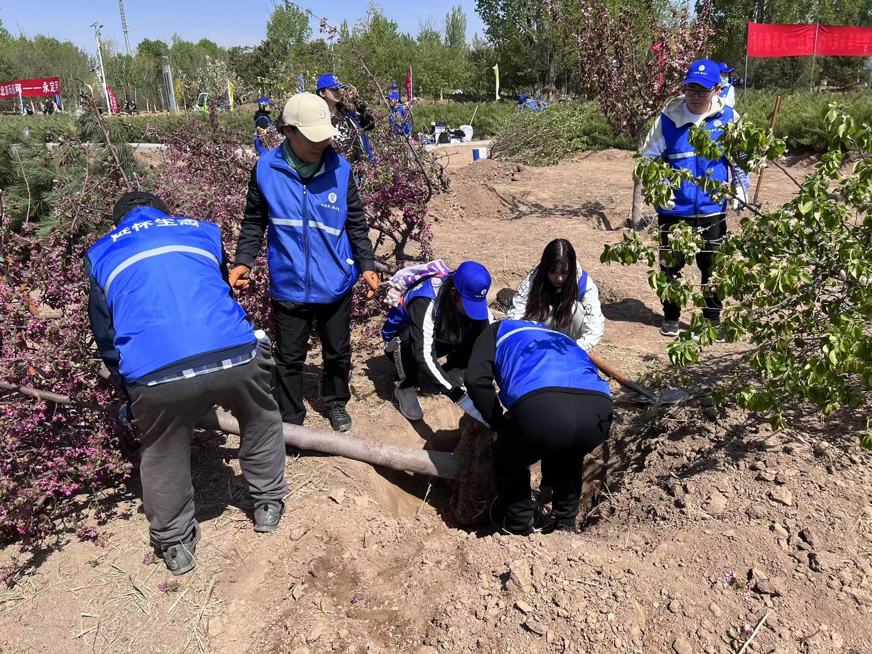 “保護北京母親河 共建首都水源地”義務植樹活動在懷來官廳水庫國家濕地公園舉行